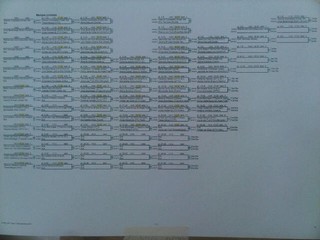 Schema Selma
