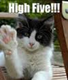 High Five!